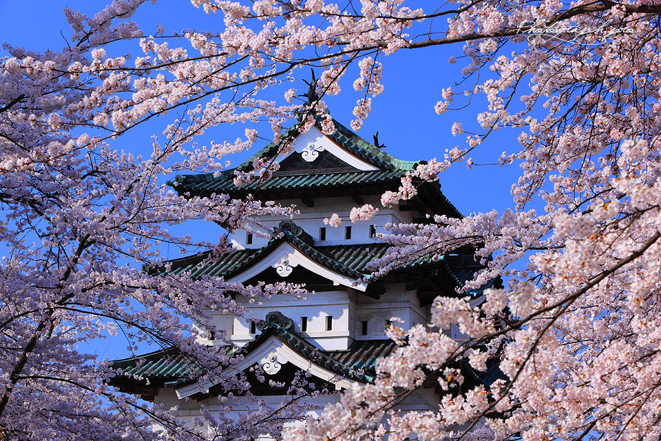 f:id:akaibara:20160409143931j:image:w450