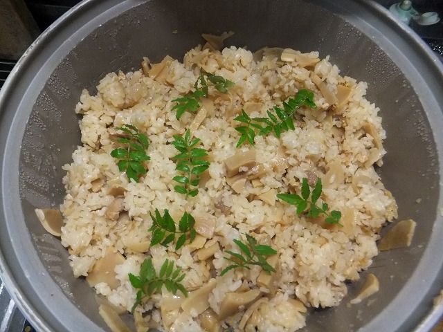 f:id:akaibara:20160412170716j:image:w400