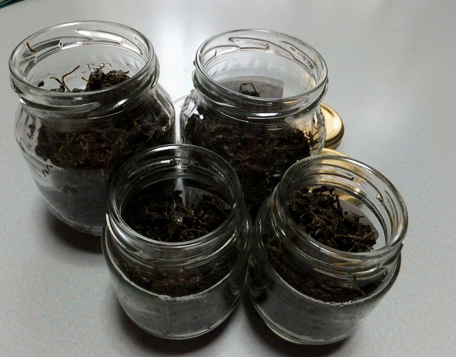 f:id:akaibara:20160422154628j:image:w400