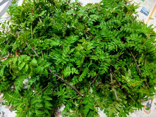 f:id:akaibara:20160422154750j:image:w450