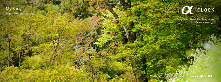 f:id:akaibara:20160507200035p:image:w500