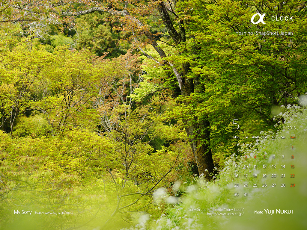 f:id:akaibara:20160507200209j:image:w500