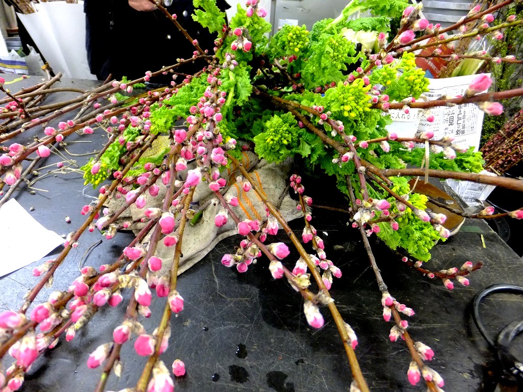 f:id:akaibara:20170224154912j:image:w500