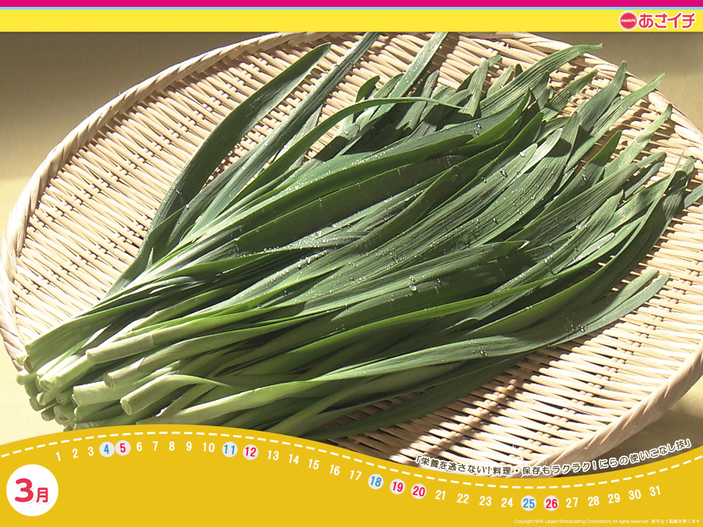 f:id:akaibara:20170307163920j:image:w450