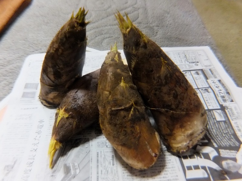 f:id:akaibara:20170410211110j:image:w450