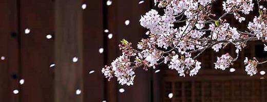 f:id:akaibara:20170411144917j:image