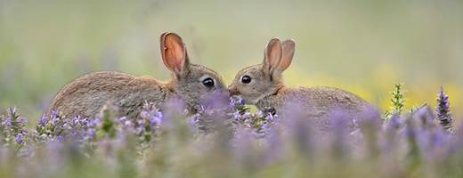 f:id:akaibara:20170418152343j:image