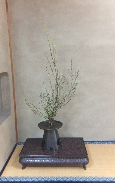 f:id:akaibara:20170421205908j:image:w400