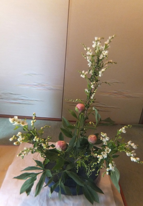 f:id:akaibara:20170511220538j:image:w300 f:id:akaibara:20170511220538j:image:w300