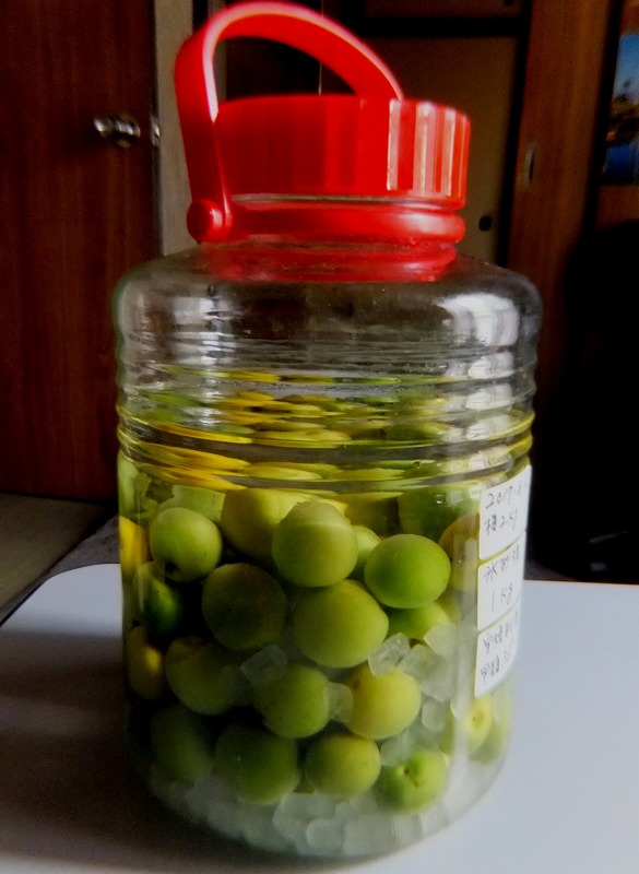 f:id:akaibara:20170612154934j:image:w250