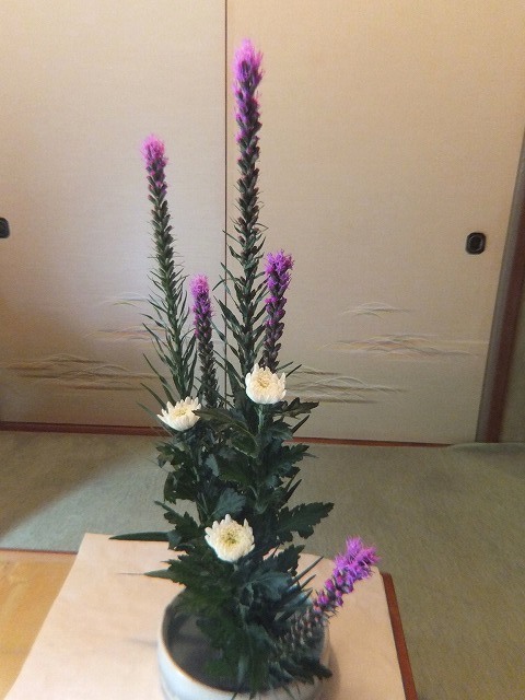 f:id:akaibara:20170708182029j:image:w250
