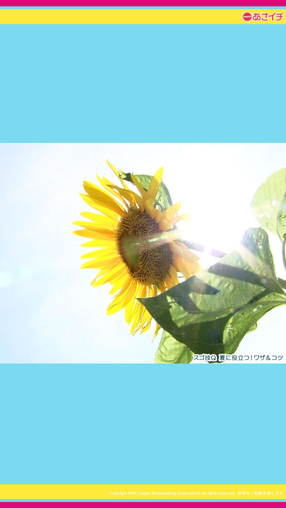 f:id:akaibara:20170801162823j:image:w200