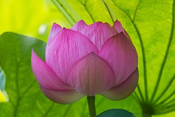 f:id:akaibara:20170804221302j:image:w500