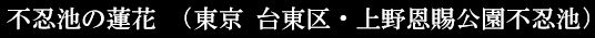 f:id:akaibara:20170804224445j:image
