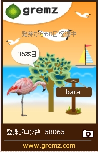 f:id:akaibara:20170823172809j:image:w190 f:id:akaibara:20170823172809j:image:w190
