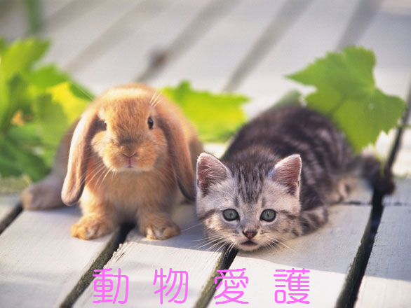 f:id:akaibara:20170921173015j:image:w500