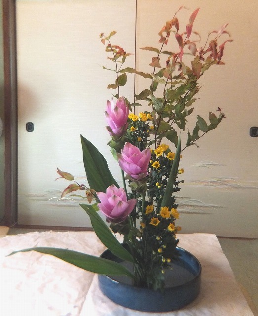 f:id:akaibara:20170922165425j:image:w300