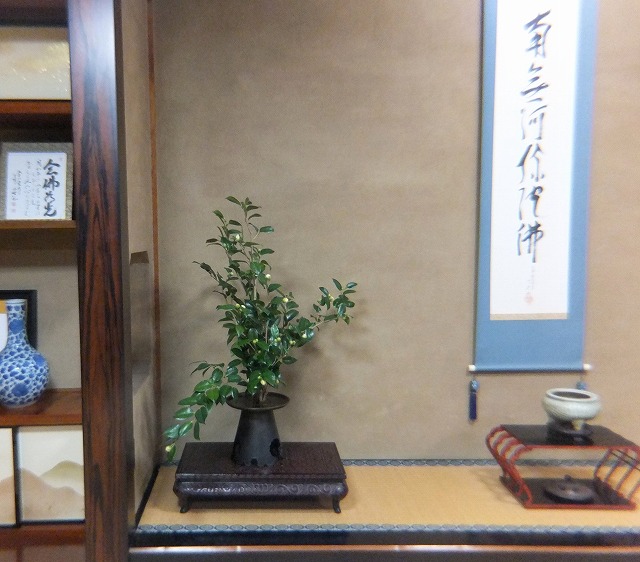 f:id:akaibara:20171029204826j:image:w200