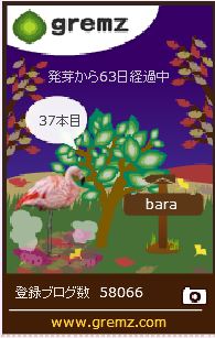 f:id:akaibara:20171123175802j:image