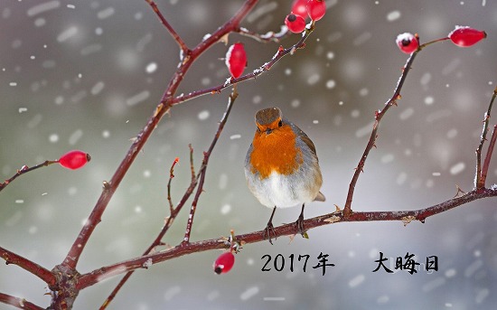 f:id:akaibara:20171231171817j:image:w500