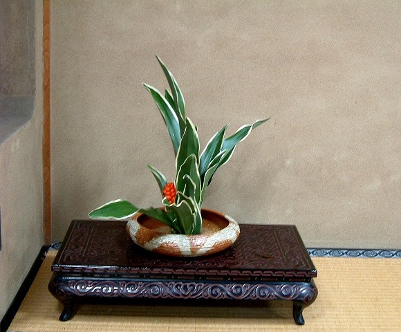 f:id:akaibara:20180124165536j:image:w500