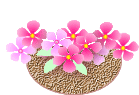 f:id:akaibara:20180221163511g:image