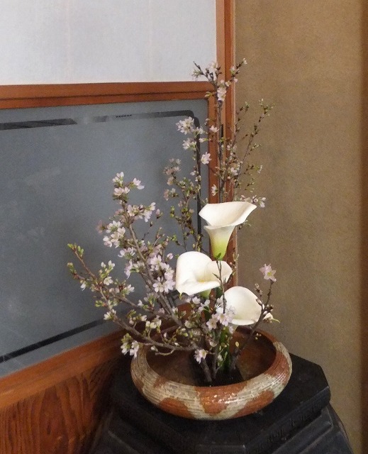 f:id:akaibara:20180308215931j:image:w180
