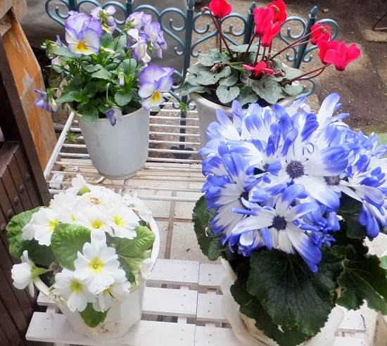 f:id:akaibara:20180312170903j:image:w400