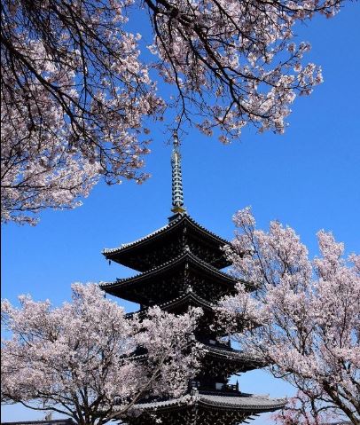 f:id:akaibara:20180326121734j:image