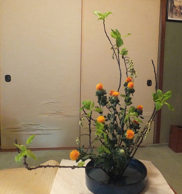 f:id:akaibara:20180406201312j:image:w400 f:id:akaibara:20180406201312j:image:w400