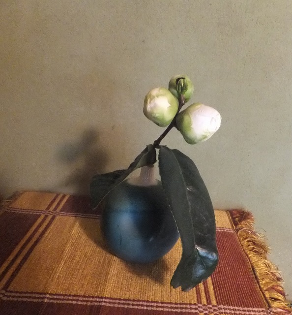 f:id:akaibara:20180406201658j:image:w200 f:id:akaibara:20180406201658j:image:w200