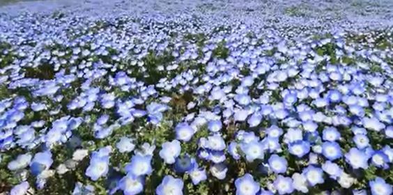f:id:akaibara:20180411160916j:image:w450