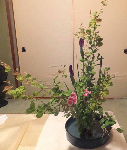 f:id:akaibara:20180510150120j:image:w450