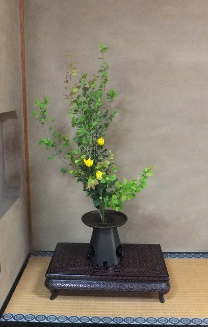 f:id:akaibara:20180511215840j:image:w400