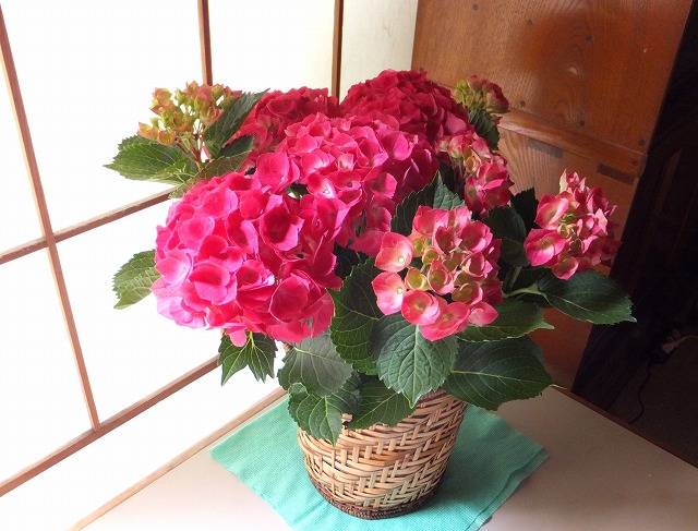 f:id:akaibara:20180603213311j:image:w500 f:id:akaibara:20180603213311j:image:w500