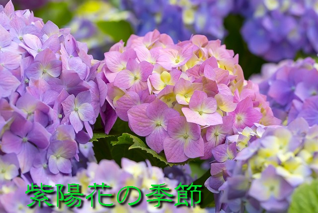 f:id:akaibara:20180607205243j:image:w500 f:id:akaibara:20180607205243j:image:w500