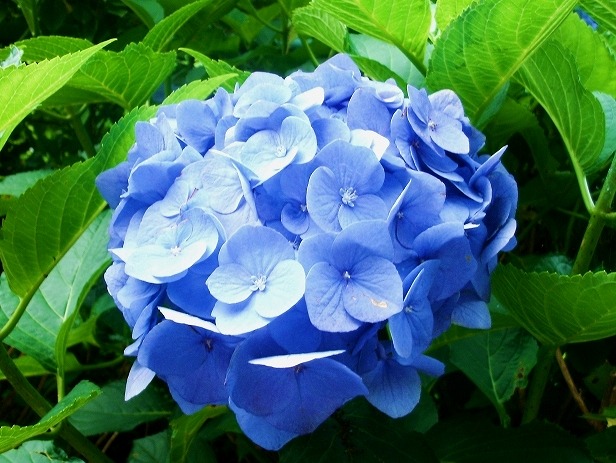 f:id:akaibara:20180607205424j:image:w350 f:id:akaibara:20180607205424j:image:w350