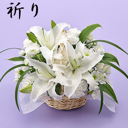 f:id:akaibara:20180623170957j:image:w500