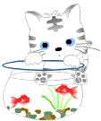 f:id:akaibara:20180703143517g:image
