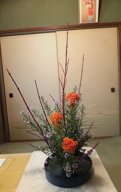 f:id:akaibara:20181018171943j:image:w250