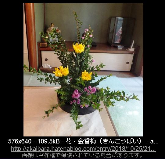 f:id:akaibara:20181026155012j:image:w500