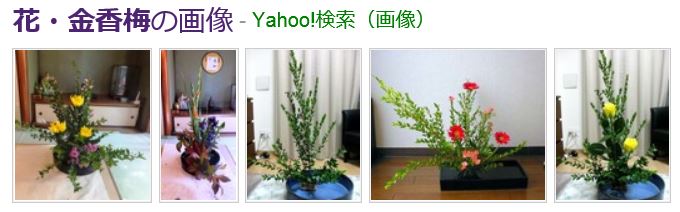 f:id:akaibara:20181026155228j:image:w500