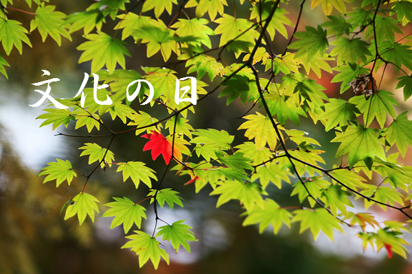 f:id:akaibara:20181103174729j:image:w516 f:id:akaibara:20181103174729j:image:w516