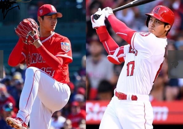 f:id:akaibara:20181113161958j:image:w550