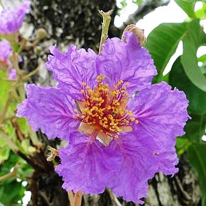 f:id:akaibara:20181116213132j:image