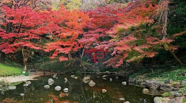 f:id:akaibara:20181118163012j:image:w250