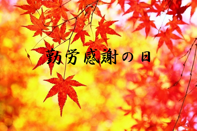 f:id:akaibara:20181123223718j:image:w516 f:id:akaibara:20181123223718j:image:w516