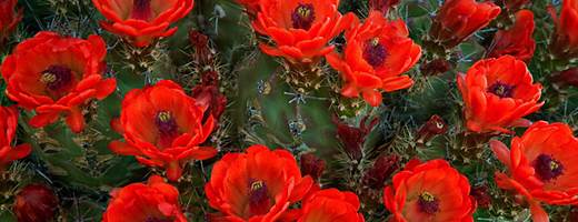 f:id:akaibara:20181219160242j:image