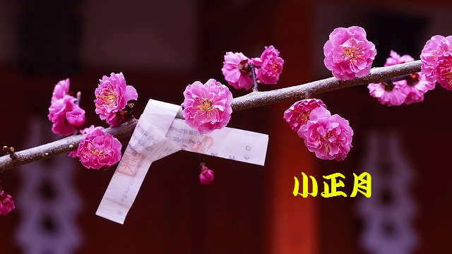 f:id:akaibara:20190115123425j:image:w516
