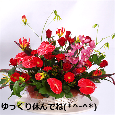f:id:akaibara:20190116165223j:image